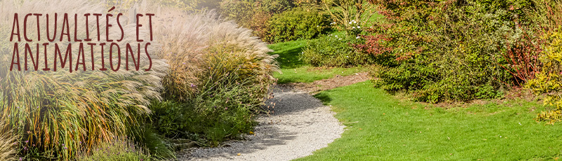actualité parc wambrechies