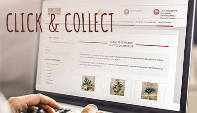 click & collect