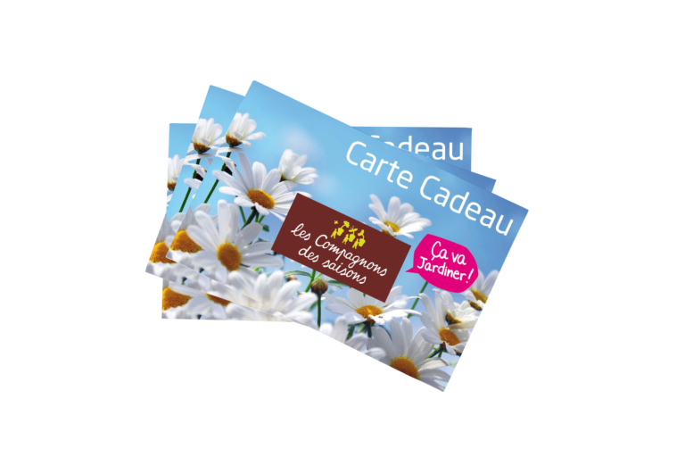 bon cadeau
