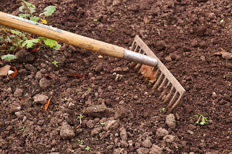désherber son jardin